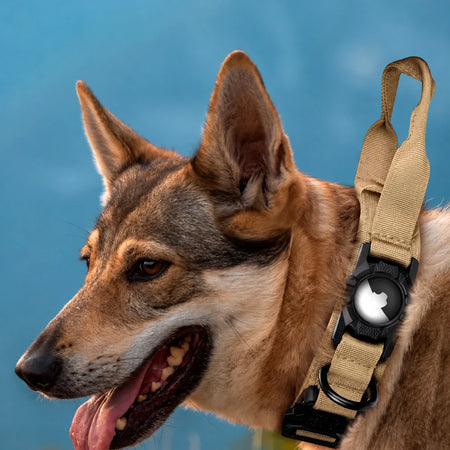Military dog collar with handle shown on a dog, side profile close-up with airtag holder