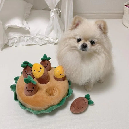 Hide and seek dog toy with plush vegetables next to a small fluffy dog