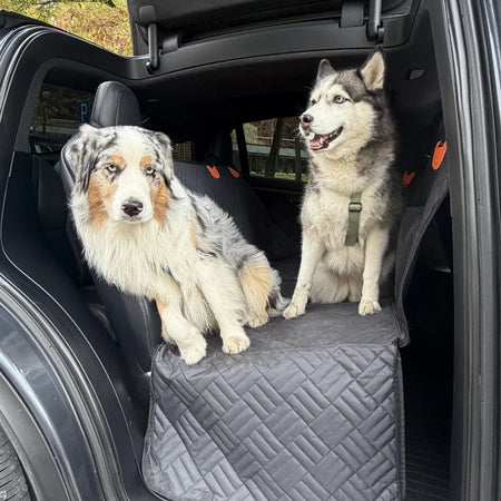 An Australian Shepherd and a Husky sit on a quilted hard bottom dog hammock for cars with protective side panels