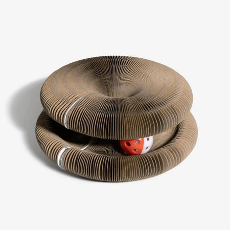 A cat organ toy with a hidden ball on a white background