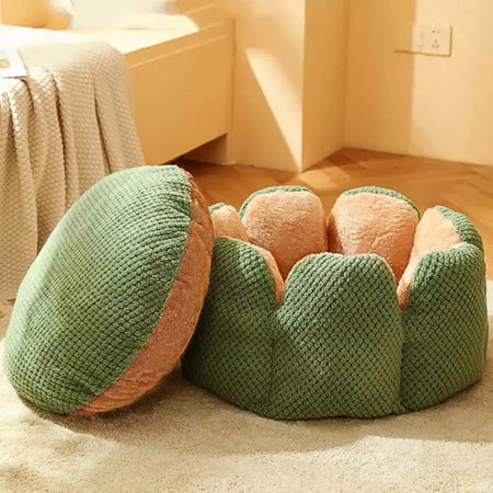 Cactus dog and cat bed with matching round cushion on rug
