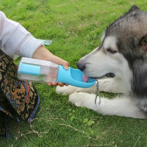Huskie drinking from a water bottle for large dogs on the grass.