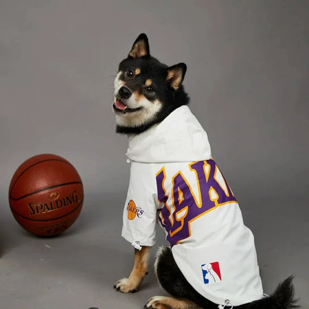 Shiba inu wearing white lakers dog clothes next to a ball on gray backdrop