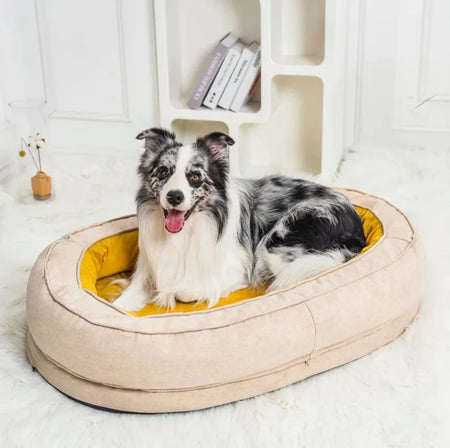 Black and white dog lounging on yellow cushion in cozy oval pet bed