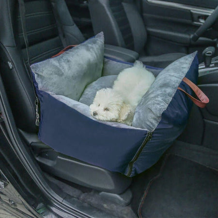 Small white dog resting in a comfy blue travel bag inside the car.