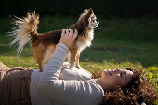 Woman lying on grass smiling at small dog, showing close bond and happiness.