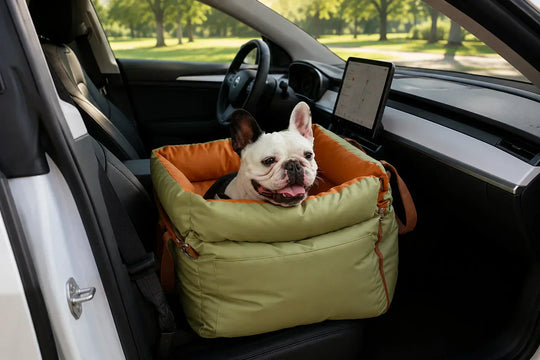 French bulldog sitting in a green and orange car travel dog bed on the front passenger seat