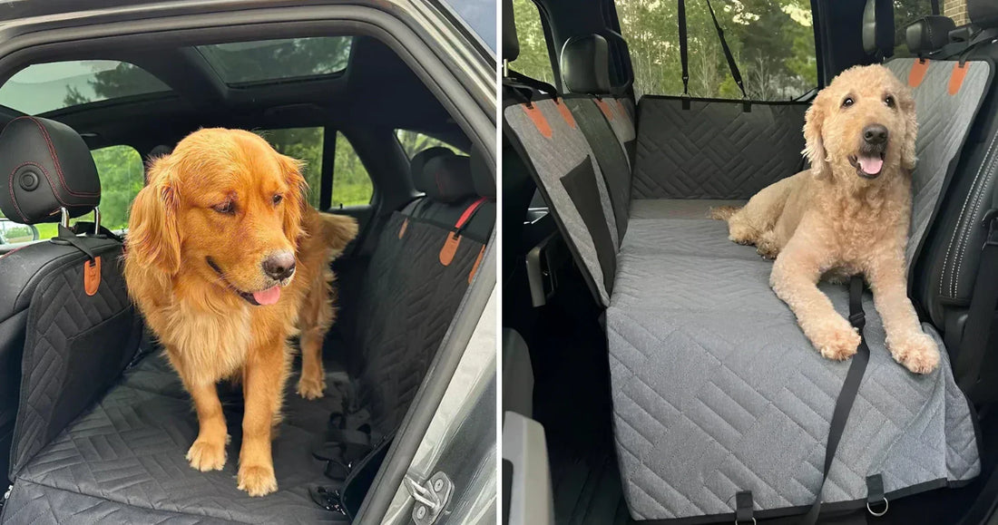 Collage of dogs on a dog car seat cover with hard bottom, showing comfortable travel protection in a vehicle.