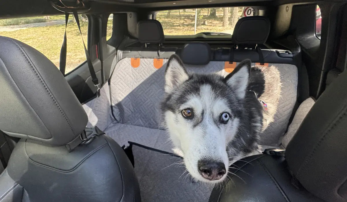 Best Hard Bottom Dog Seat Cover In Australia: Full Review & Buyer’s Guide