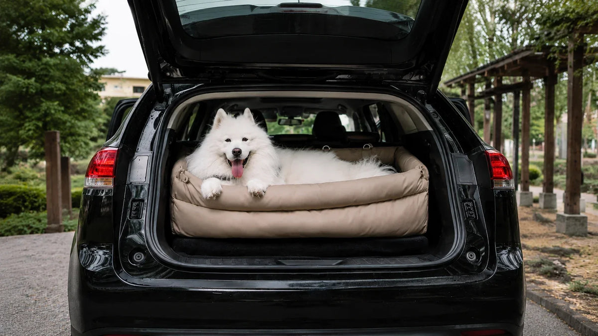 White dog relaxing in a beige dog car travel bed in the open boot of a black SUV