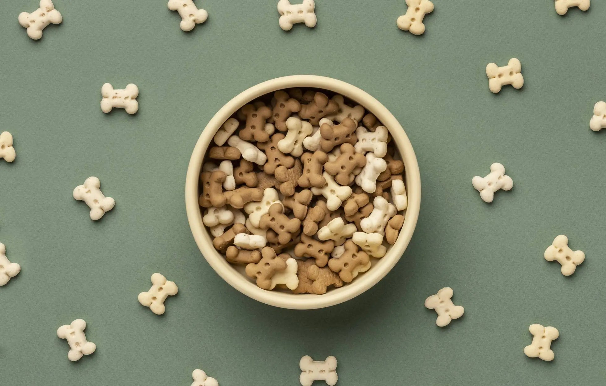 Bowl of homemade bone-shaped dog biscuits in assorted colors, perfect for DIY pet treats.