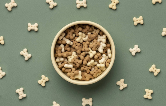 Bowl of homemade bone-shaped dog biscuits in assorted colors, perfect for DIY pet treats.
