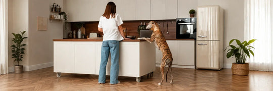 Brindle dog standing at a kitchen island beside a woman in a home kitchen.