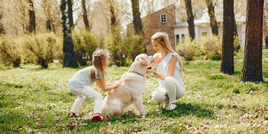 Сhild learning gentle dog interaction with parent supervision outdoors