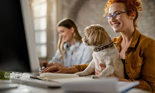 A smiling woman working at her desk while holding her small dog, showcasing a pet-friendly office environment.