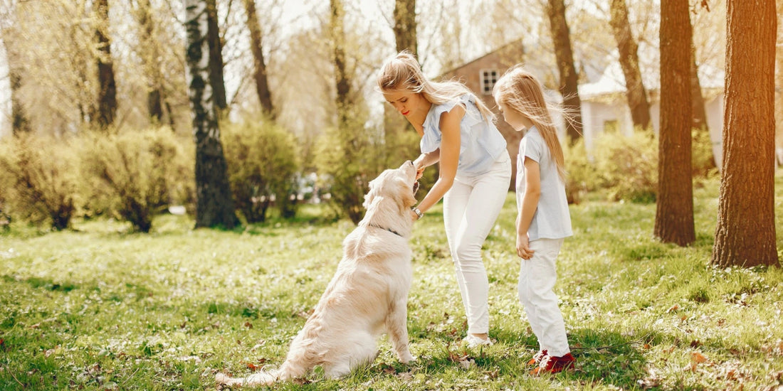 Mother and daughter feeding their dog in a sunny park, demonstrating safe and respectful interaction with pets.