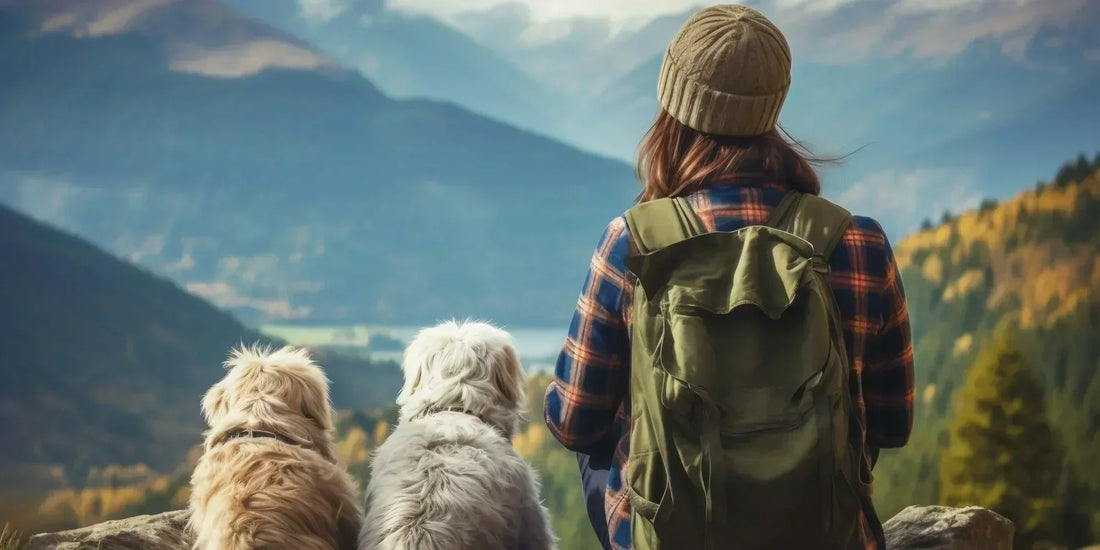 Woman with two dogs enjoying a scenic mountain view, promoting sustainable travel and outdoor adventures with pets.