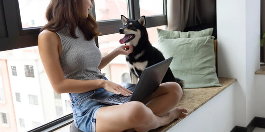 Woman with laptop sitting by window and petting her dog