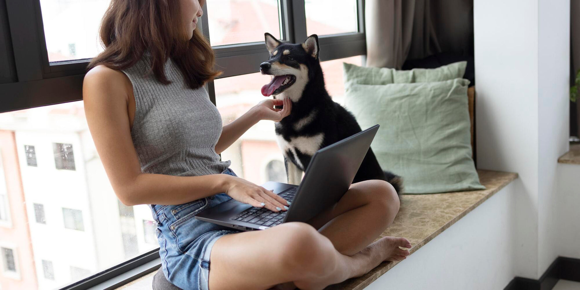 Woman with laptop sitting by window and petting her dog