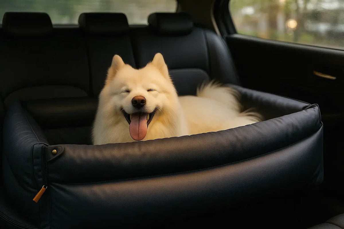 Samoyed dog relaxing in ocean blue car bed