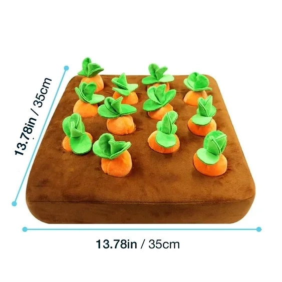 Size Chart Image