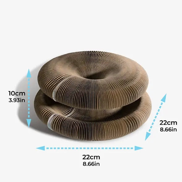 Size Chart Image