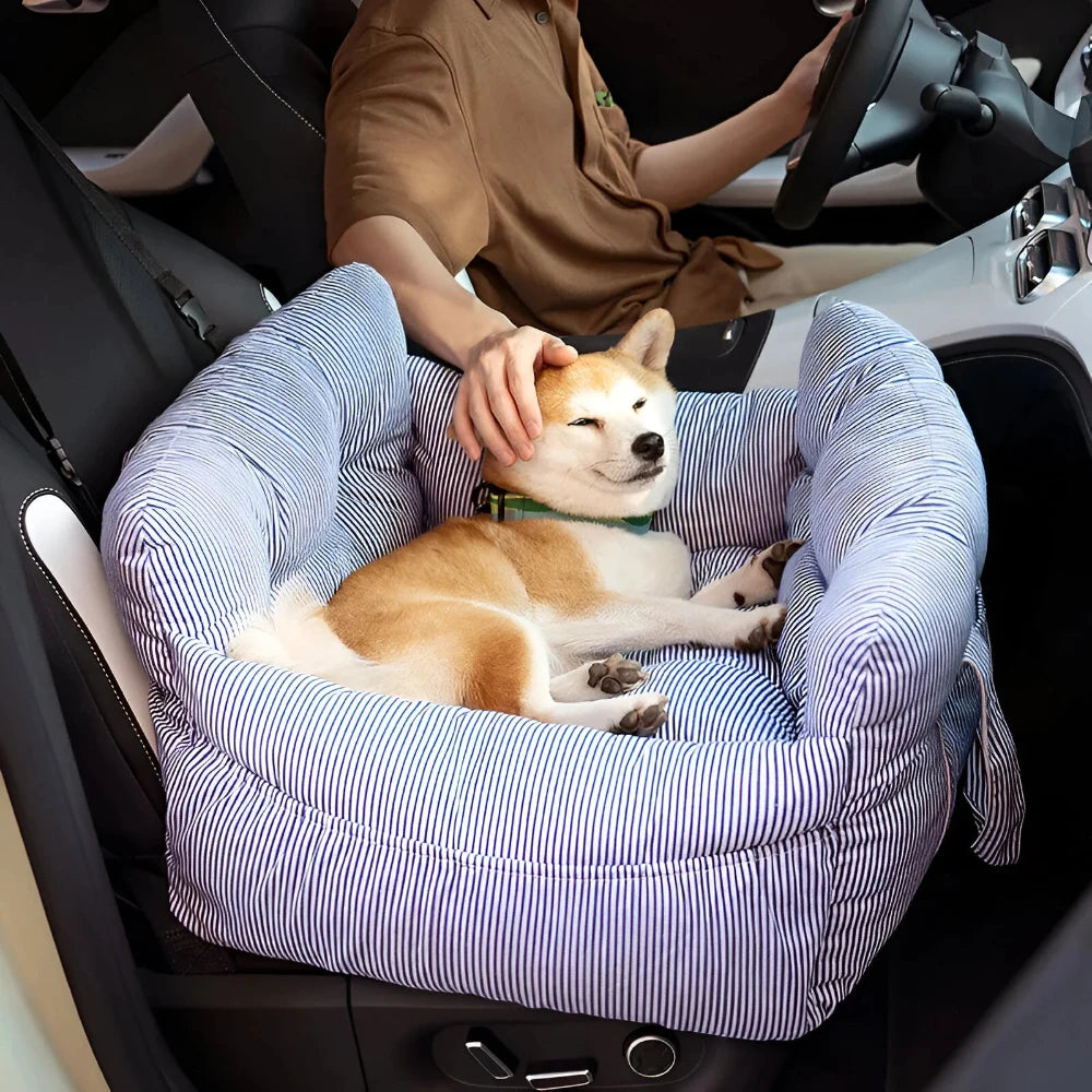 Dog resting comfortably in a striped car seat with seatbelt, providing a cozy and safe travel experience for pets.