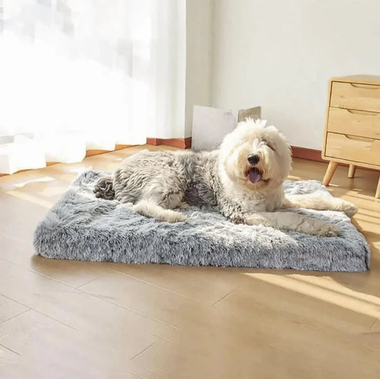 Happy dog resting on a fluffy orthopedic mattress providing comfort and joint support from FluffyPuppy Pet Store.