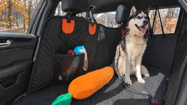 Dog Products