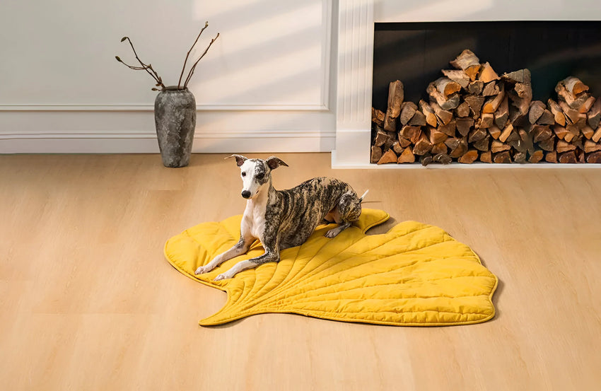 Dog resting on a yellow leaf-shaped pet mat, highlighting pet beds and covers collection