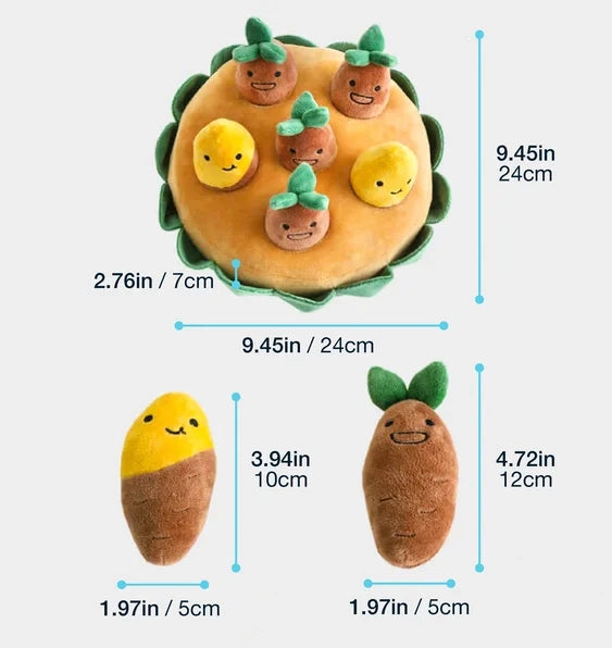 Size Chart Image