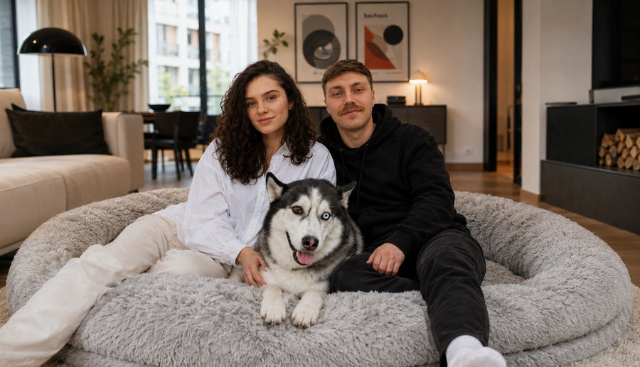 Two people sitting on a large human dog bed with a husky dog in a modern living room