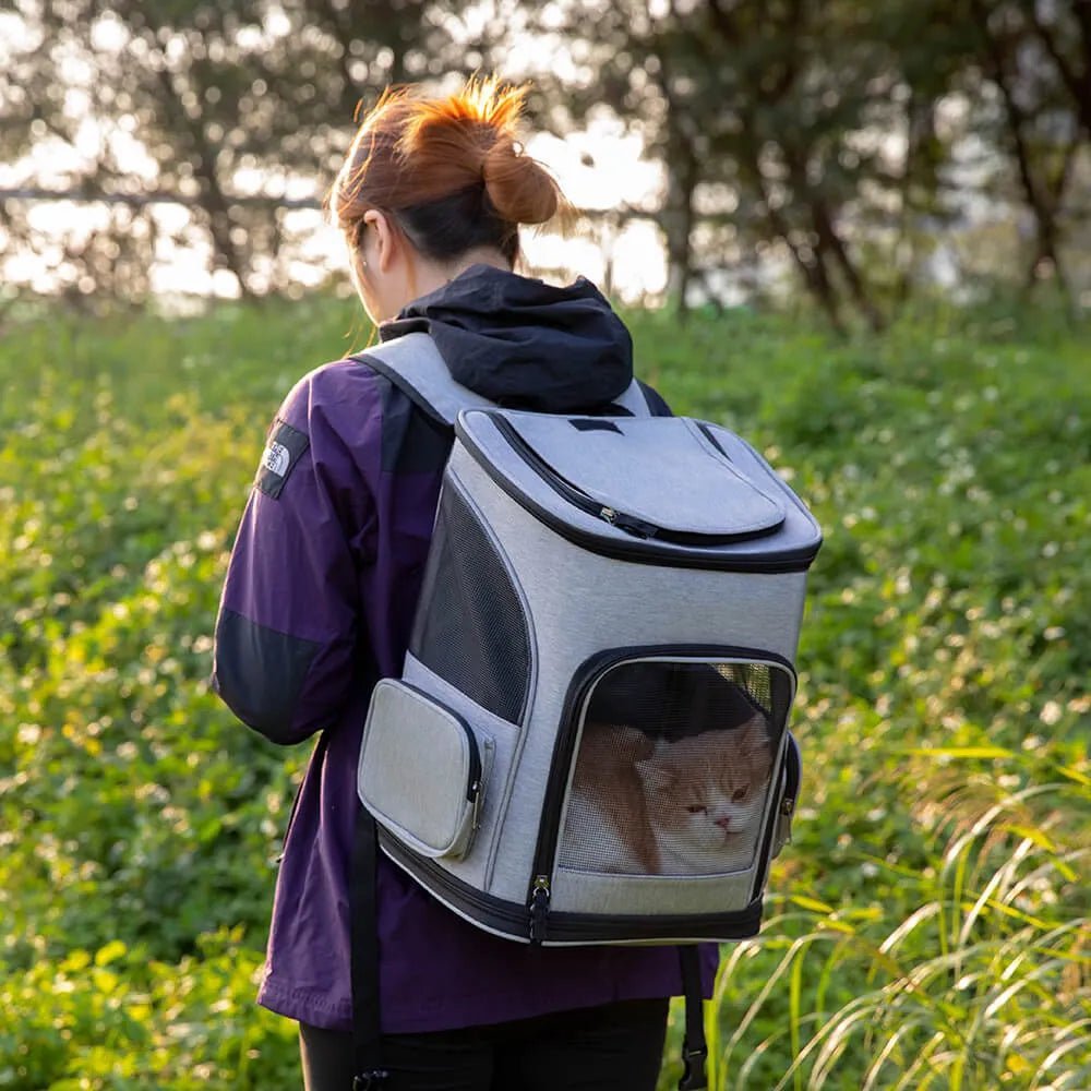 Person hiking with a gray airline-approved pet carrier backpack, designed for small pets like cats, with breathable mesh panels.