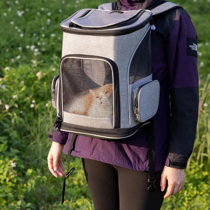 Person carrying a cat in a gray airline-approved pet carrier backpack with mesh panels, ideal for outdoor adventures or travel.