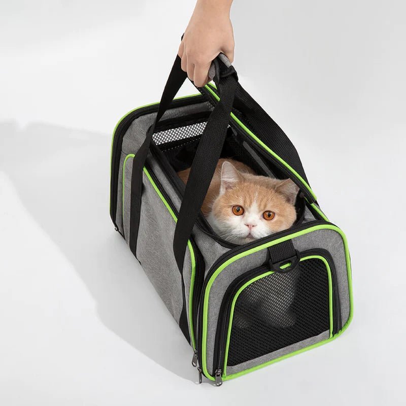 Portable airline-approved pet carrier with mesh panels, ideal for comfortable and safe travel with your cat or small pet.