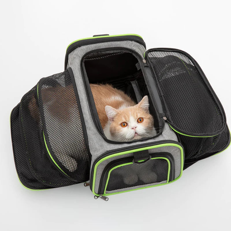 Cat inside an airline-approved expandable pet carrier bag, ideal for safe and comfortable travel for pets.