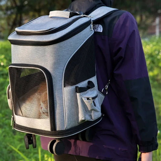 Airline approved pet travel backpack with wheels, perfect for carrying pets during travel and outdoor adventures.