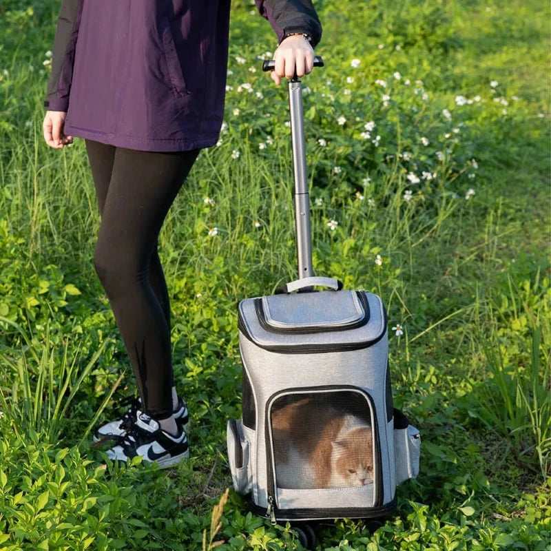 Person traveling with airline approved pet travel bag on wheels, ideal for transporting small pets comfortably.