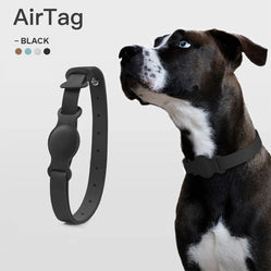 Side view of a dog wearing a black collar with dog airtag collar holder