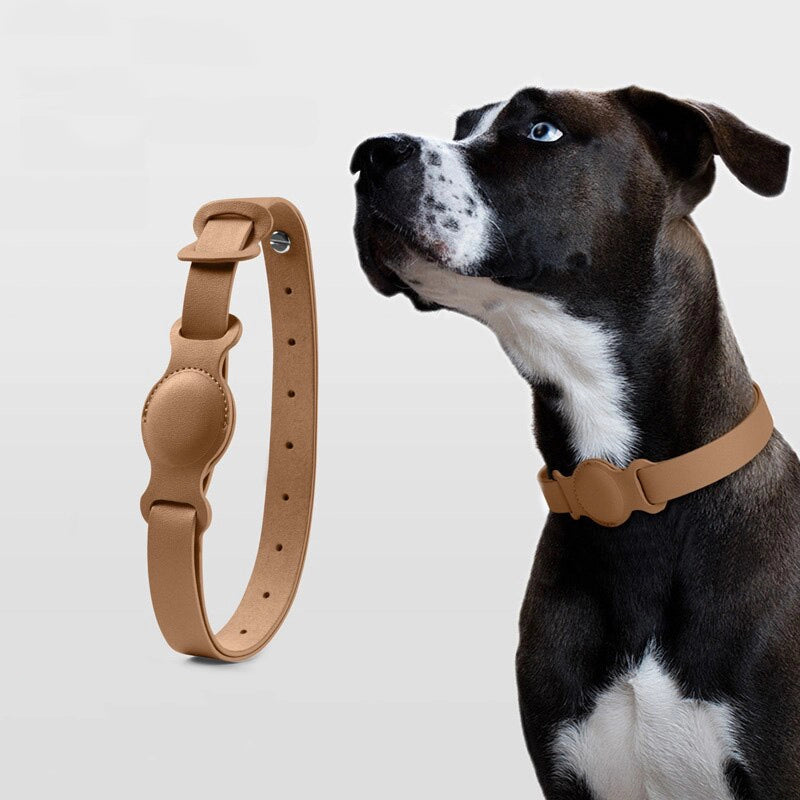 leather dog collar airtag holder attached to a comfortable dog collar