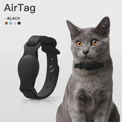 Gray cat wearing a black leather cat collar on a white background