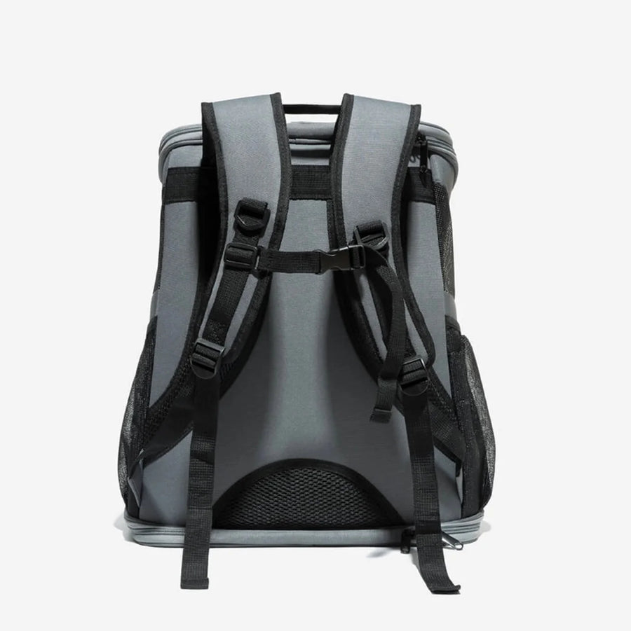 backpack cat carrier bubble shown from the back with padded shoulder straps and chest buckle