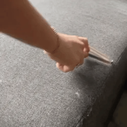 Wooden tool helping remove dog fur from couch fabric