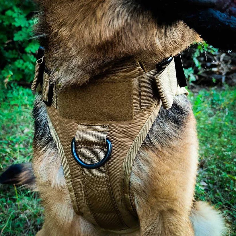 Tactical large dog harness close-up showing front D-ring and chest strap outdoors