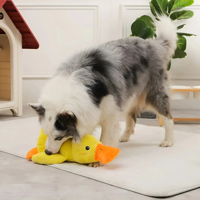 Dog chewing a dog calming duck toy on an indoor mat