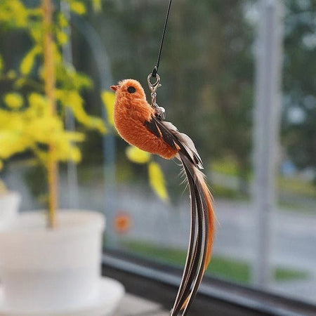 Cat toy bird that flies hanging near a window with feathers moving naturally