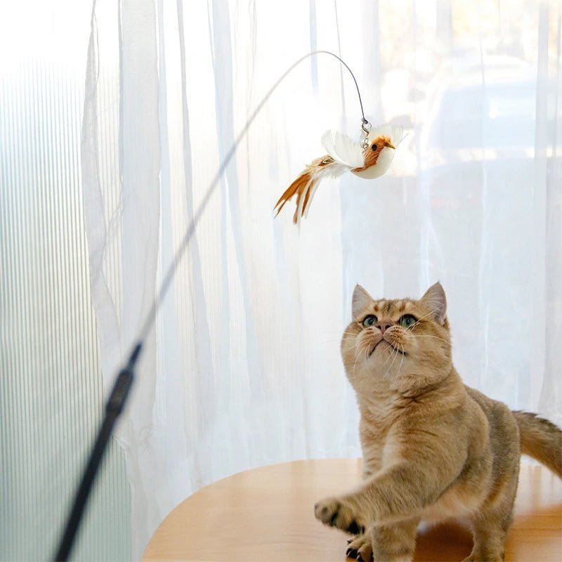 A cat on a table playing with bird motion cat toy indoors