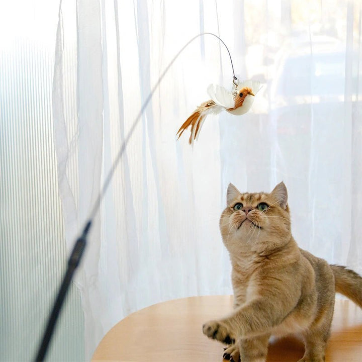 A cat on a table playing with bird motion cat toy indoors