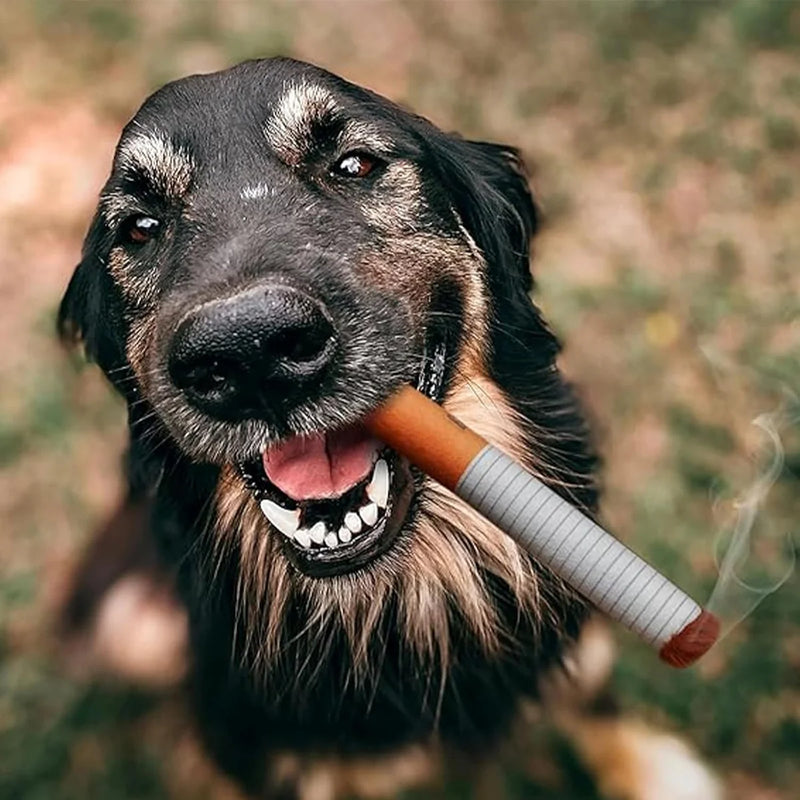 Black and tan dog holding a dog-safe cigar chew toy in its mouth while smiling outdoors.