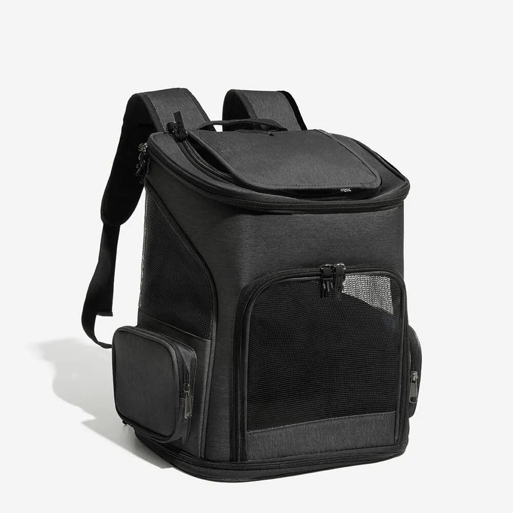Black backpack for cats in studio